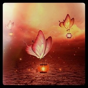 Meet your Posher, Sharyn